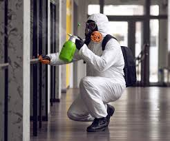 Best Mold Remediation for Rental Properties  in Edmonston, MD