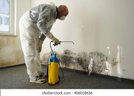 Best Mold Removal for HVAC Installations  in Edmonston, MD